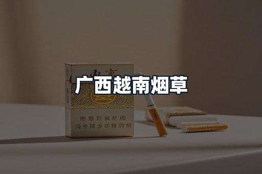 广西越南烟草